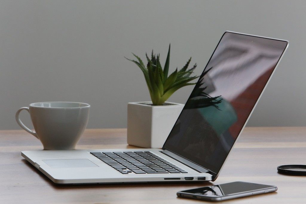 Laptop and plant